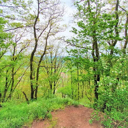 Les 7 Meuses - Restaurant & Hebergements Hoteliers - Insolites - Wellness - Отель